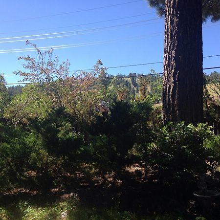 ביג בר לייק Switzerland Haus Bed And Breakfast Inn מראה חיצוני תמונה